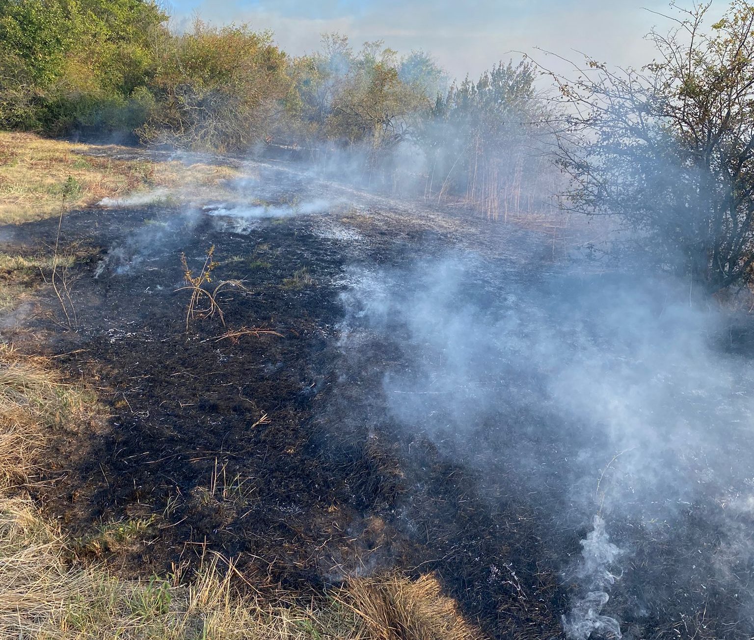 Incendii de vegetație la Vaslui și Huși. Pompierii au intervenit pentru stingerea flăcărilor