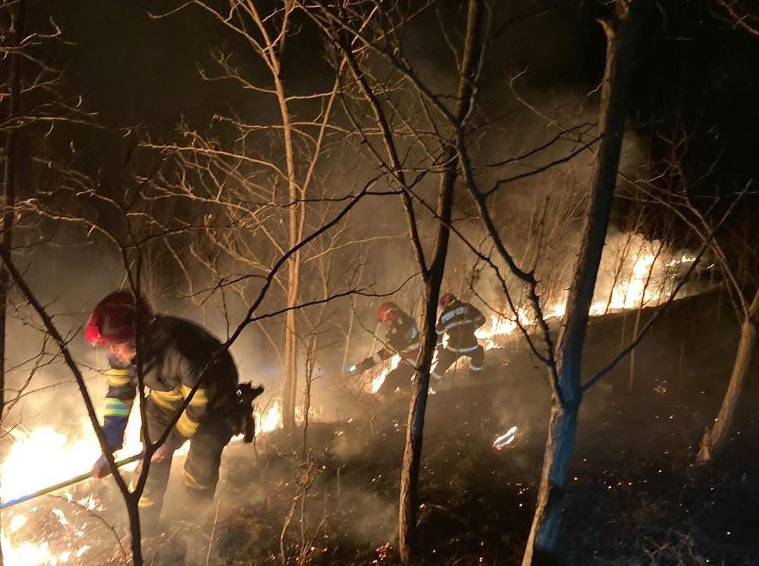 Incendii de vegetație și zeci de intervenții ale pompierilor vasluieni, de la începutul lunii martie