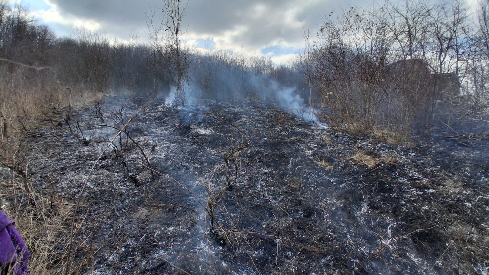 Flăcări la Ivănești: incendiu de vegetație stins la timp, după o intervenție rapidă a pompierilor