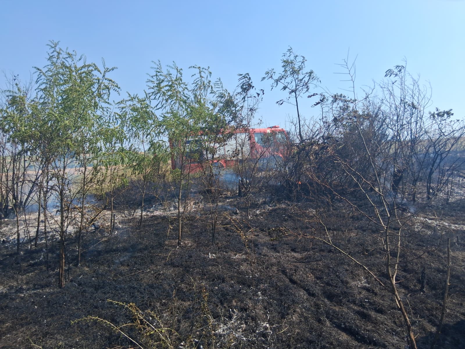 Incendiu de vegetație uscată la Ștefan cel Mare. Pompierii au intervenit înainte ca focul să se extindă