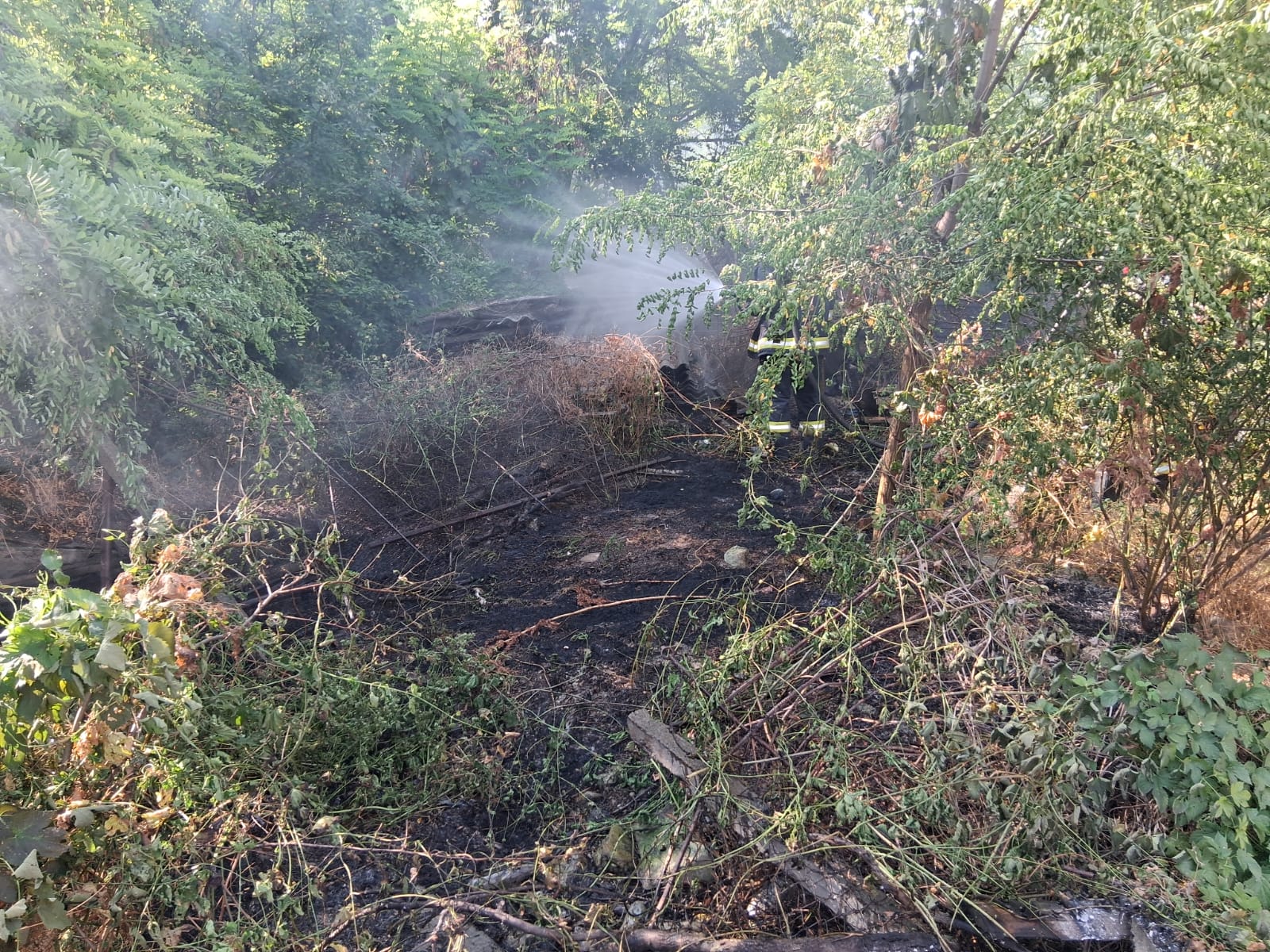Incendiu de vegetație uscată în municipiul Huși. Pompierii au intervenit prompt
