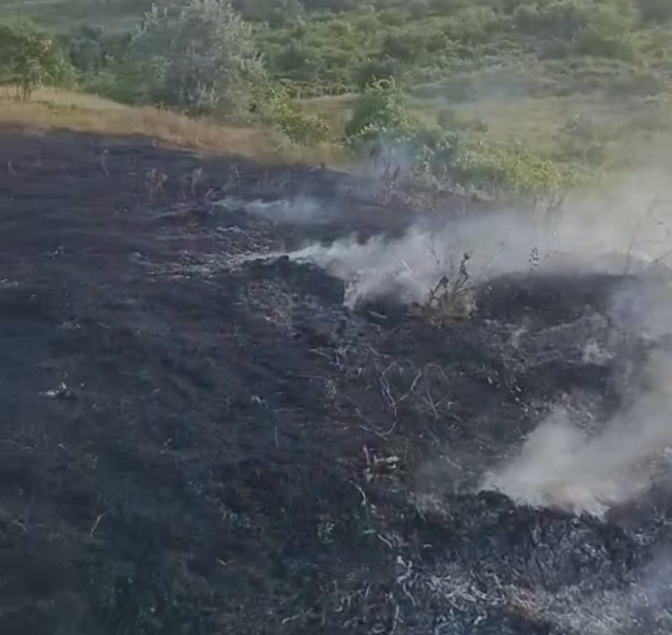 Incendiu de vegetație uscată pe o suprafață de 8 hectare, la Pogănești. Pompierii și voluntarii au intervenit pentru a opri extinderea flăcărilor