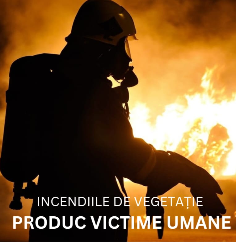 Pompierii vasluieni au intervenit pentru stingerea a patru incendii de vegetație uscată