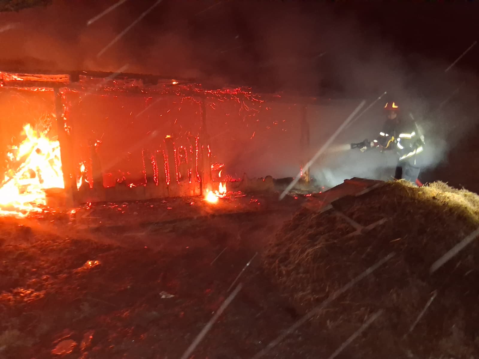 Incendiu la un adăpost de animale din Portari. Pompierii au intervenit prompt