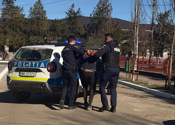 Doi bărbați arestați preventiv după ce au ucis un câine și au rănit altul