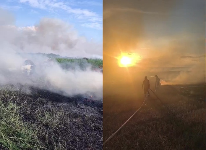 Incendiu de proporții la Blăgești: 200 de hectare de vegetație uscată au ars